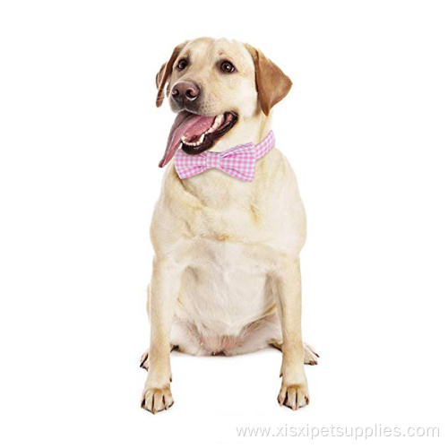 Soft Buckle Cat Dog Collar with Bowtie